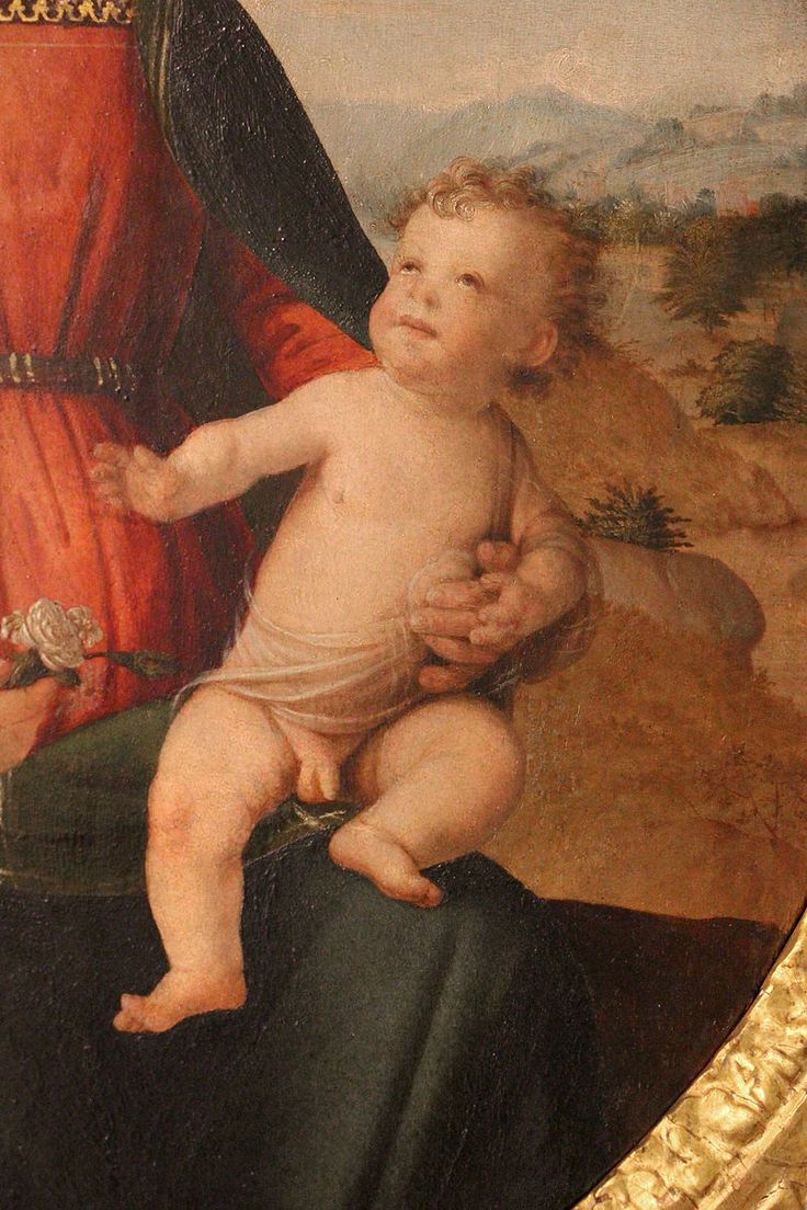 Franciabigio-1482-1525 (4).jpg